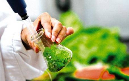 舌尖上的学问 解码食品科学与工程